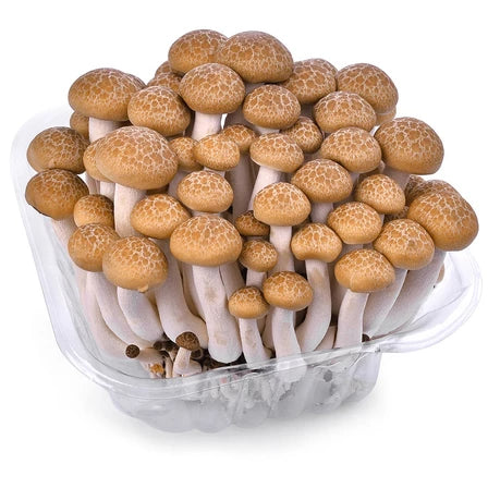 WIGANT Grzyby shimeji brązowe 150 g